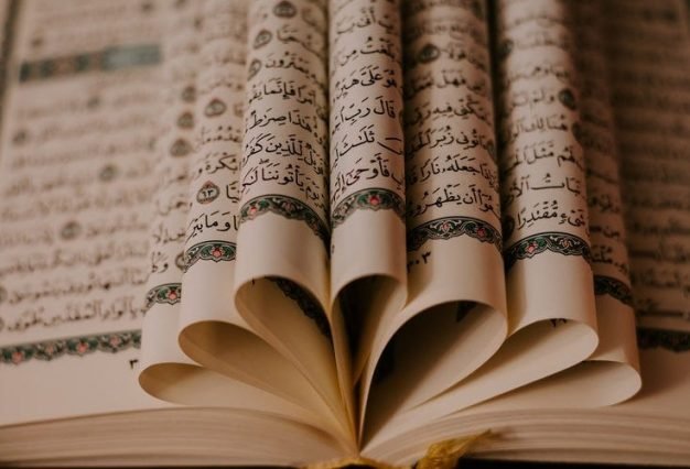 1_Dz1w6H7CwuOp_P8JUF58Rw-1