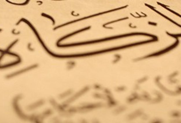 C80BB29B-6E9A-4CA2-ACF4-80511279A0BB